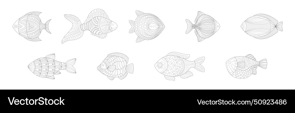 Underwater nature entangle coloring book object Vector Image
