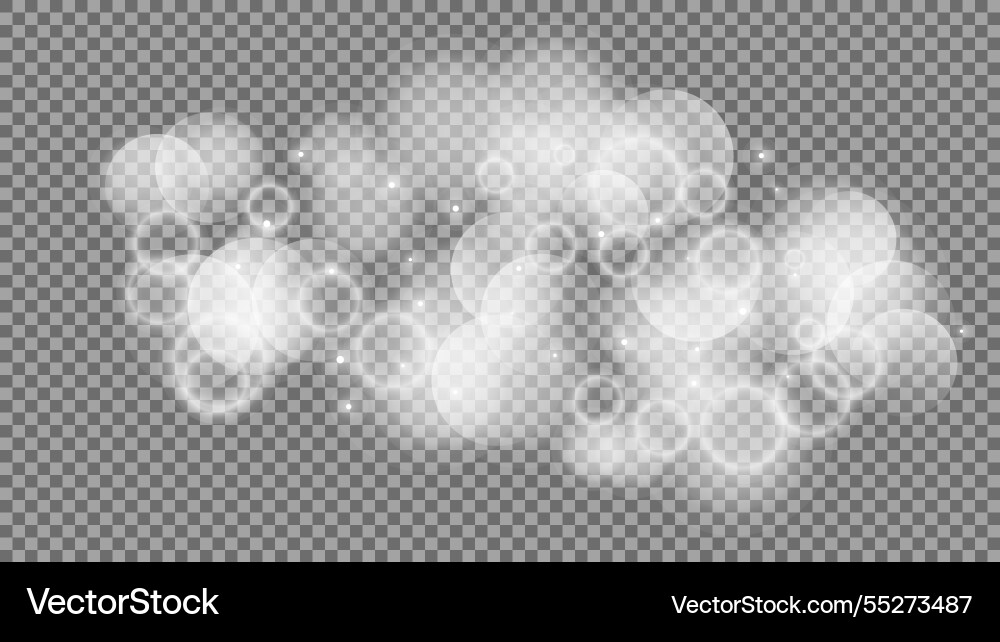Bokeh circles on transparent background Bokeh circles on transparent background vector image