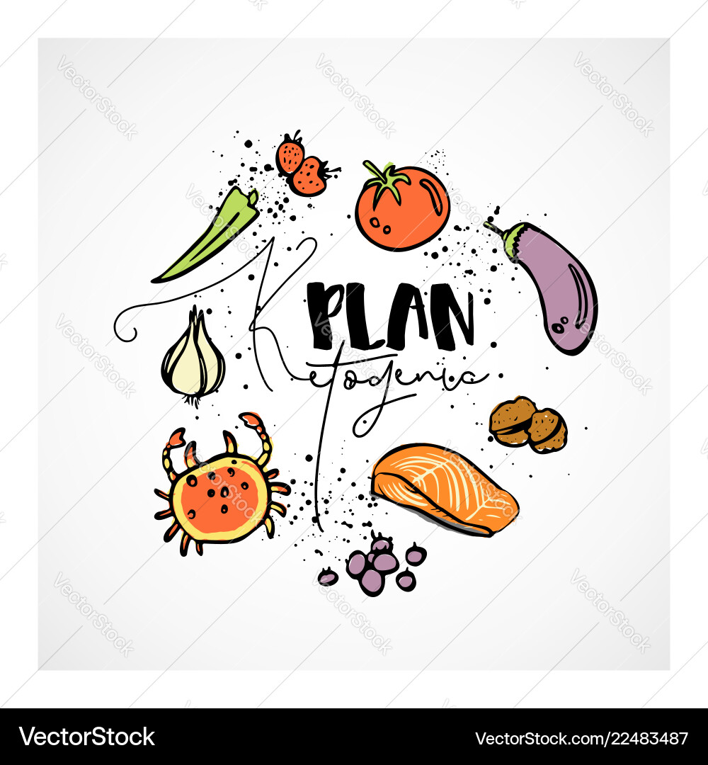 Ketogenic plan - sketch Ketogenic plan - sketch vector image
