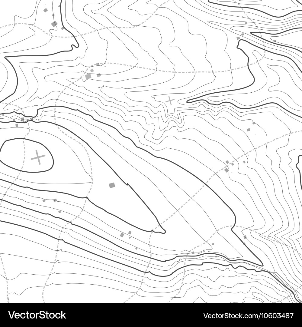 Topographic Map Background Vector Image