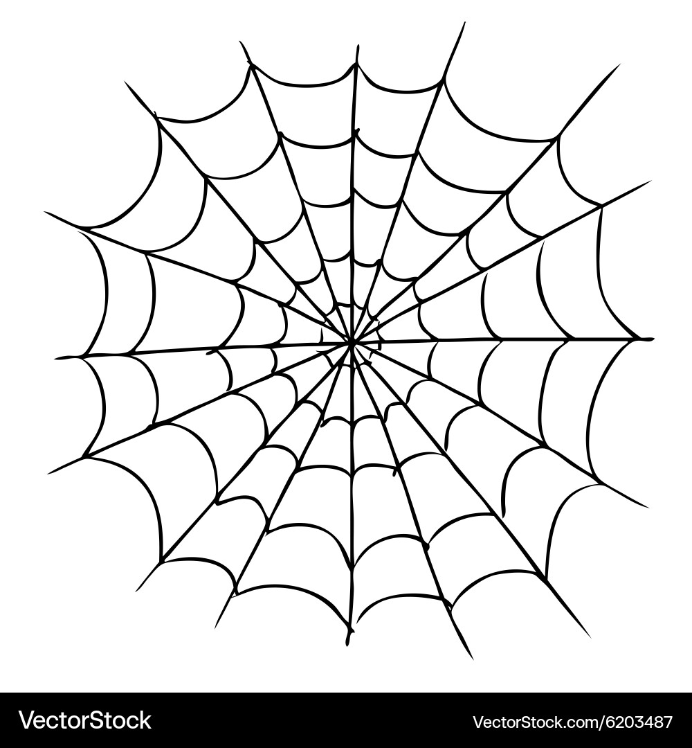 Web 1 Vector Image
