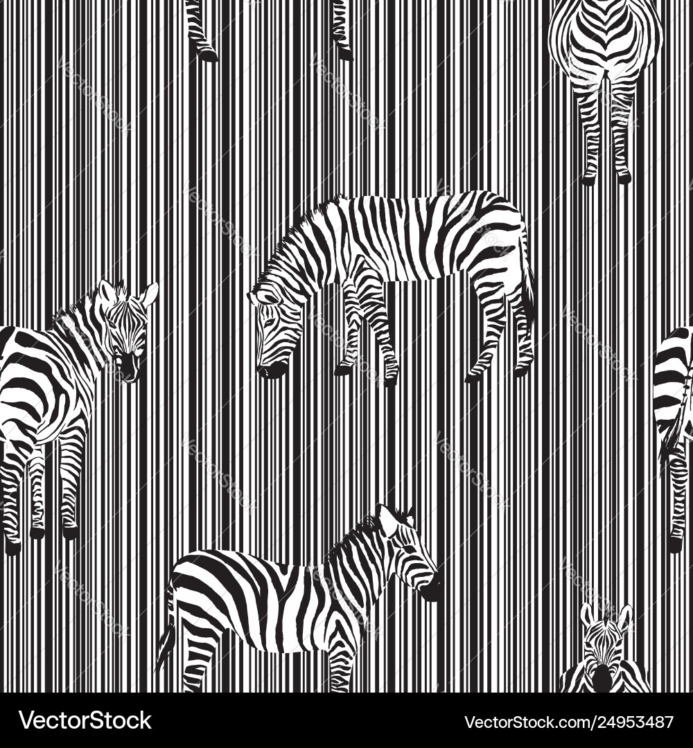 Zebra Stripe Pattern Background vector image