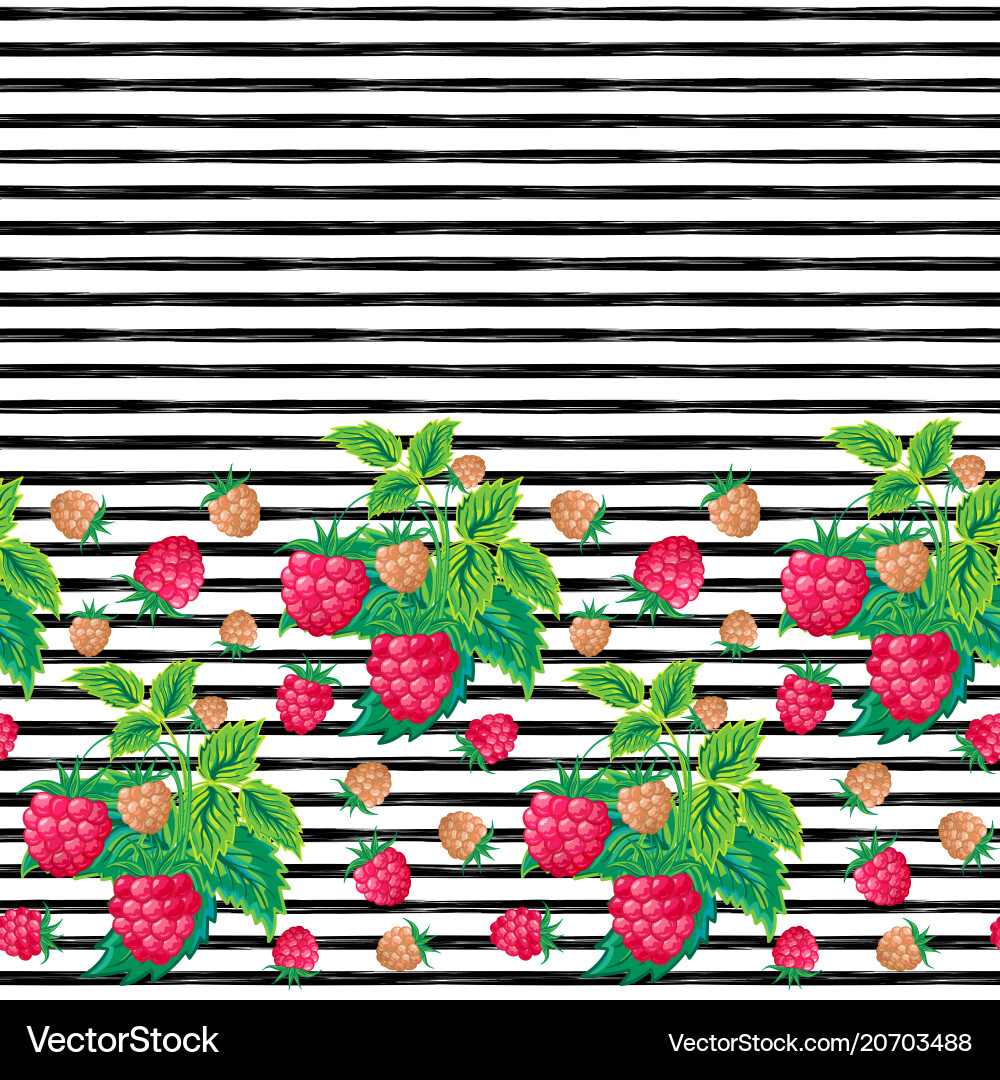Raspberry Seamless Pattern vector image