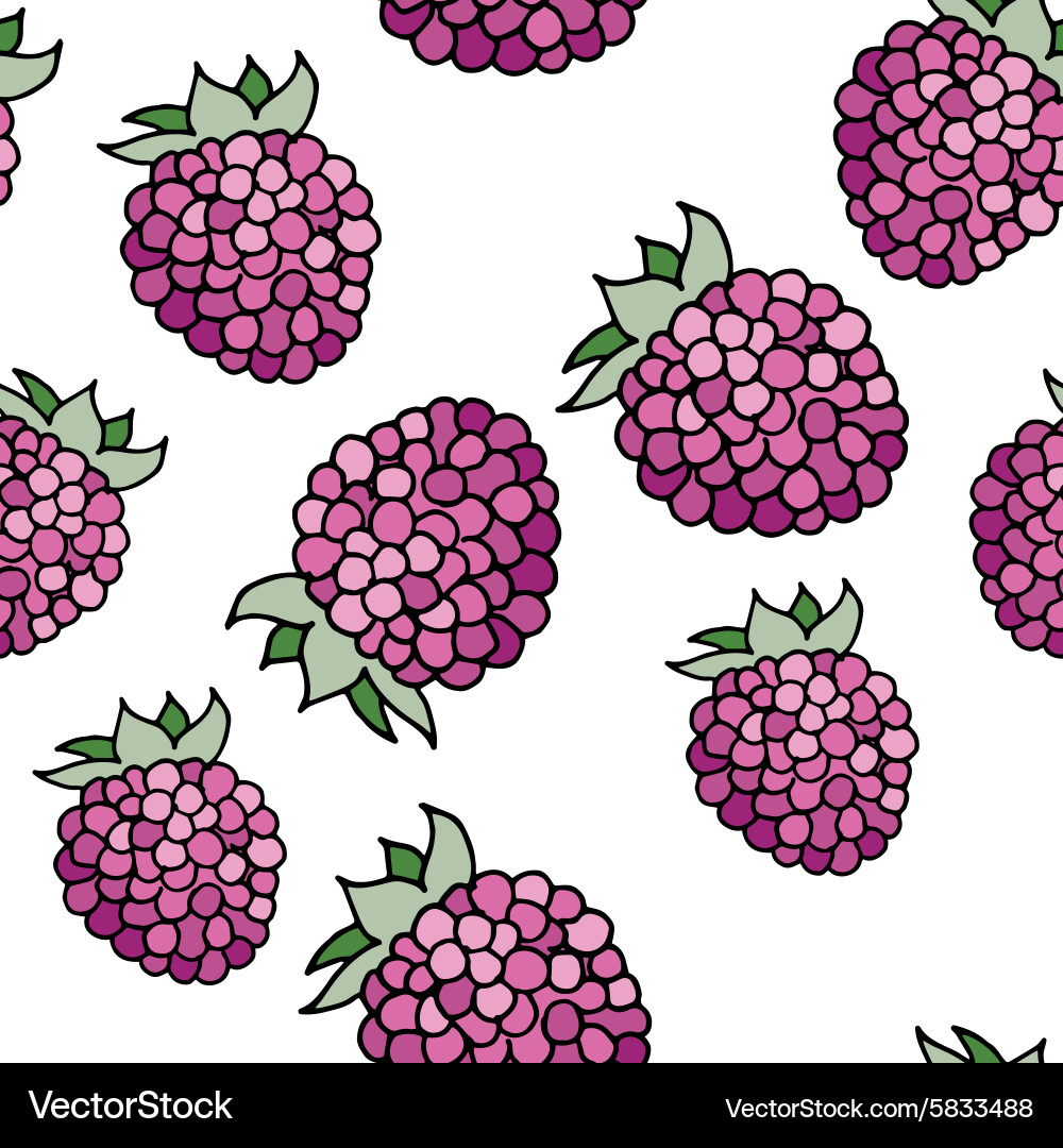 Raspberry Seamless Pattern vector image