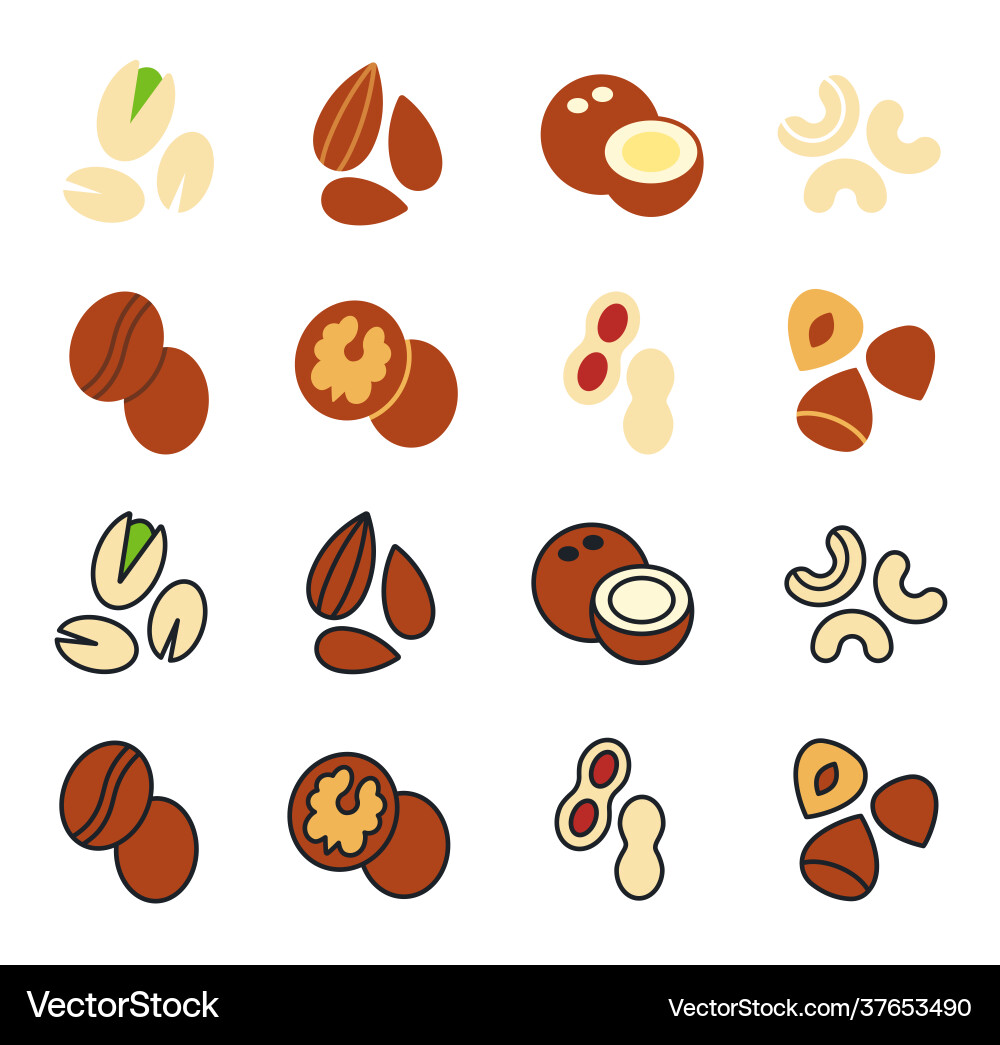 Flat linear color icons nuts Flat linear color icons nuts vector image