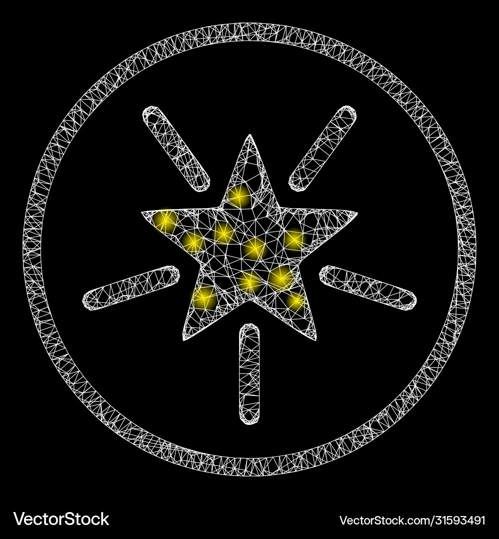 Bright web net rounded shine star with lightspots Bright web net rounded shine star with lightspots Vector Image