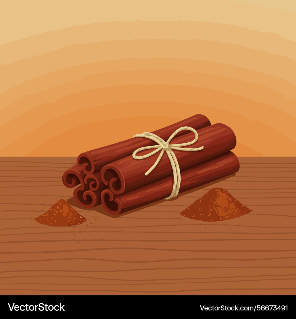 Cinnamon sticks tied with string ground Vector Image