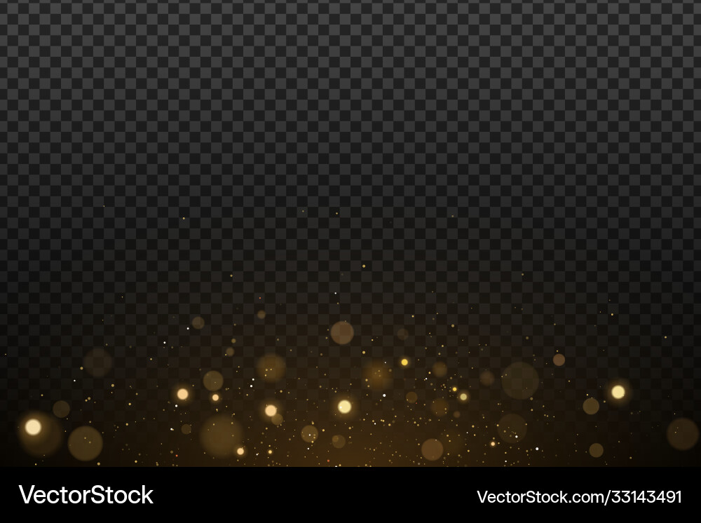 Effect lights bokeh on a transparent background Vector Image