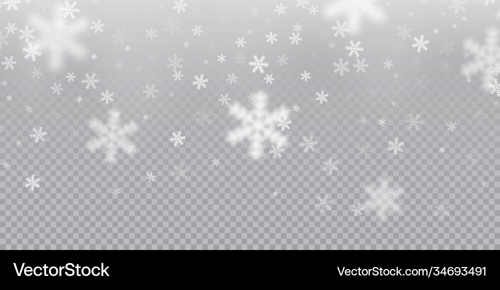 Falling snowflake pattern background white Falling snowflake pattern background white vector image