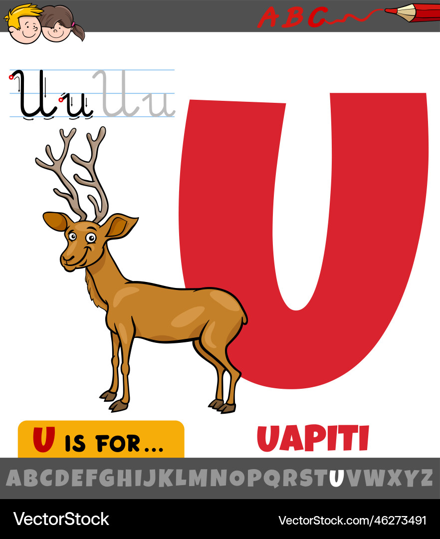 Letter u from alphabet with cartoon uapiti animal Vector Image