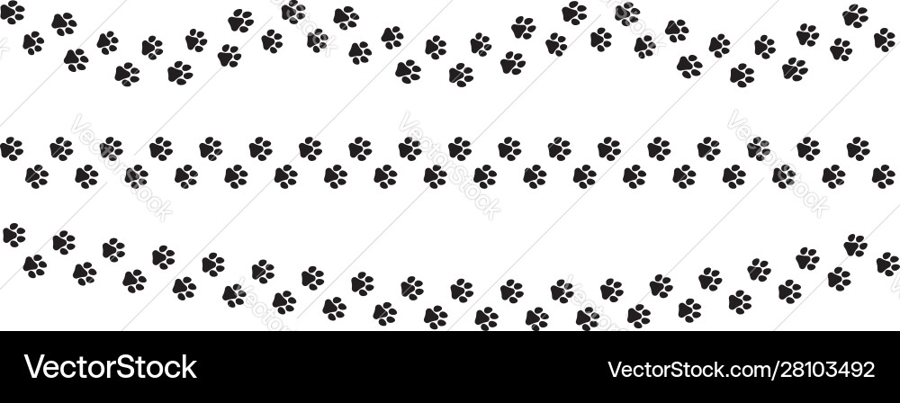 Animal track with paw prints pet footprints Animal track with paw prints pet footprints vector image