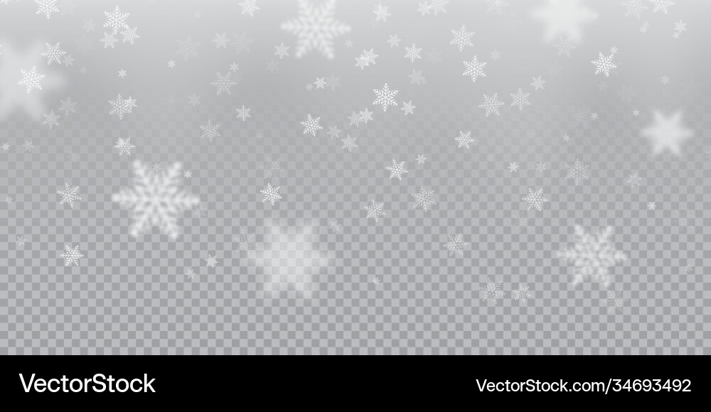 Falling snowflake pattern background white Falling snowflake pattern background white vector image