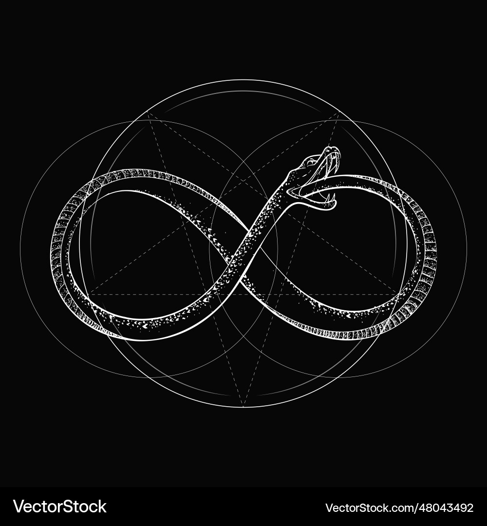 Infinite ouroboros vector image