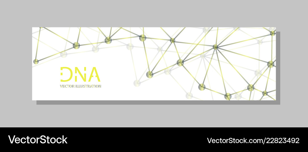 Molecular structure with connected lines and dots Molecular structure with connected lines and dots vector image