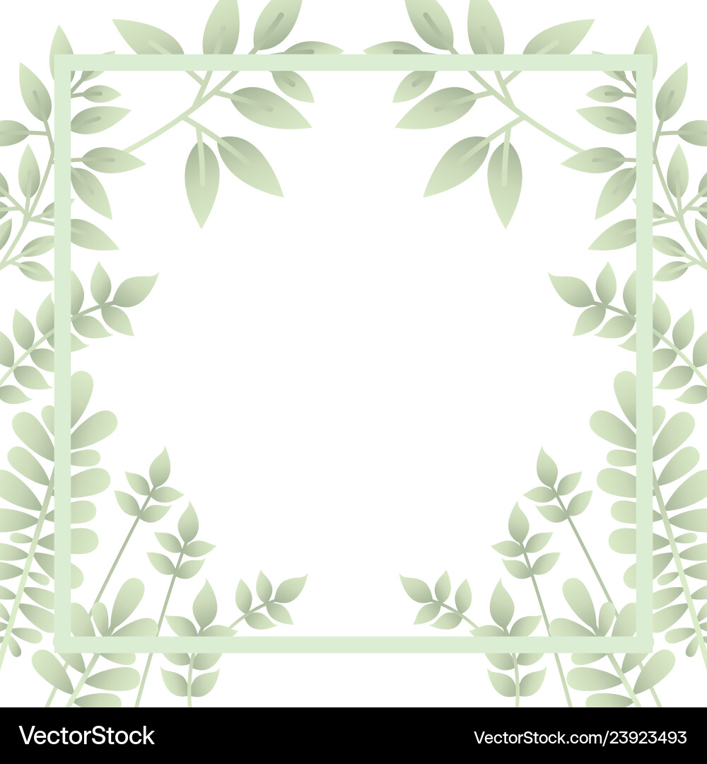 Branch and leaf with frame isolated icon Branch and leaf with frame isolated icon vector image
