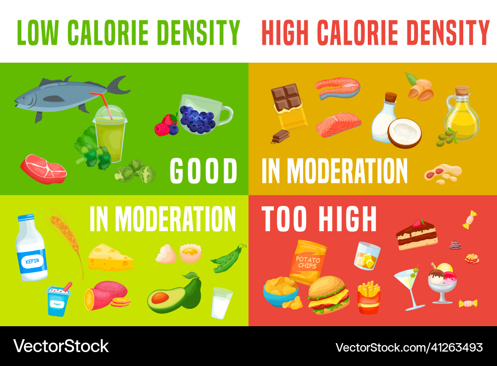 Calorie Dichte Diagramm niedrig Dichte Nahrung zu essen Calorie Dichte Diagramm niedrig Dichte Nahrung zu essen vektorbild