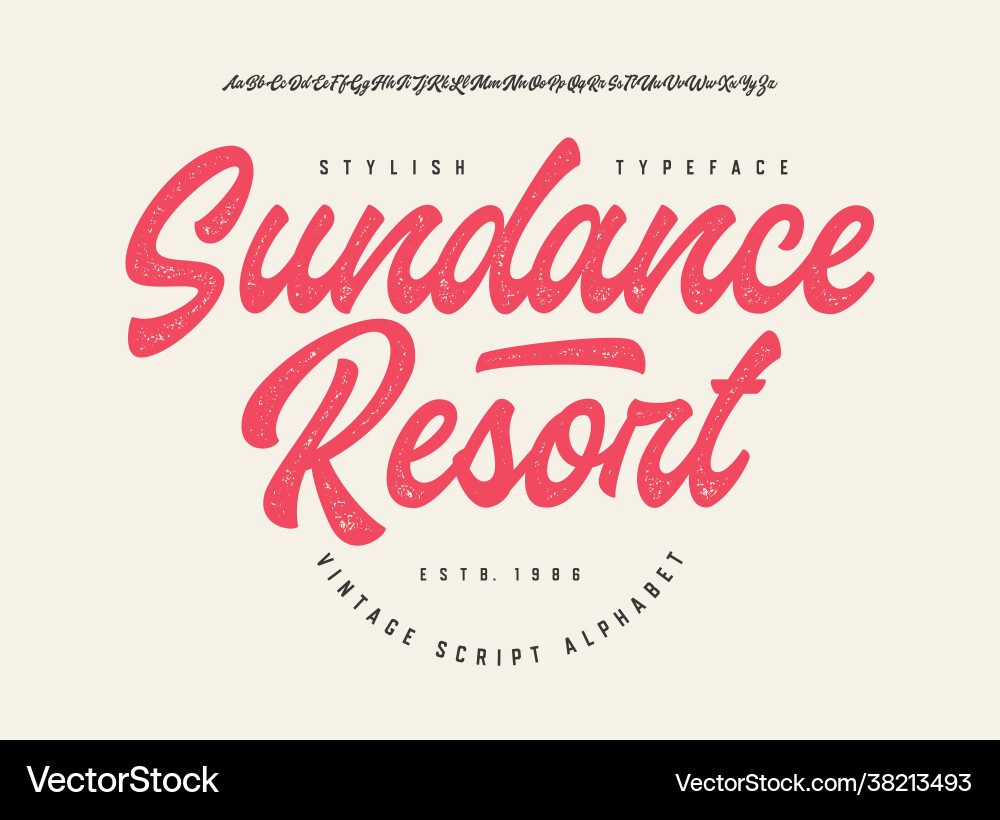 Original brush script font retro typeface Original brush script font retro typeface vector image