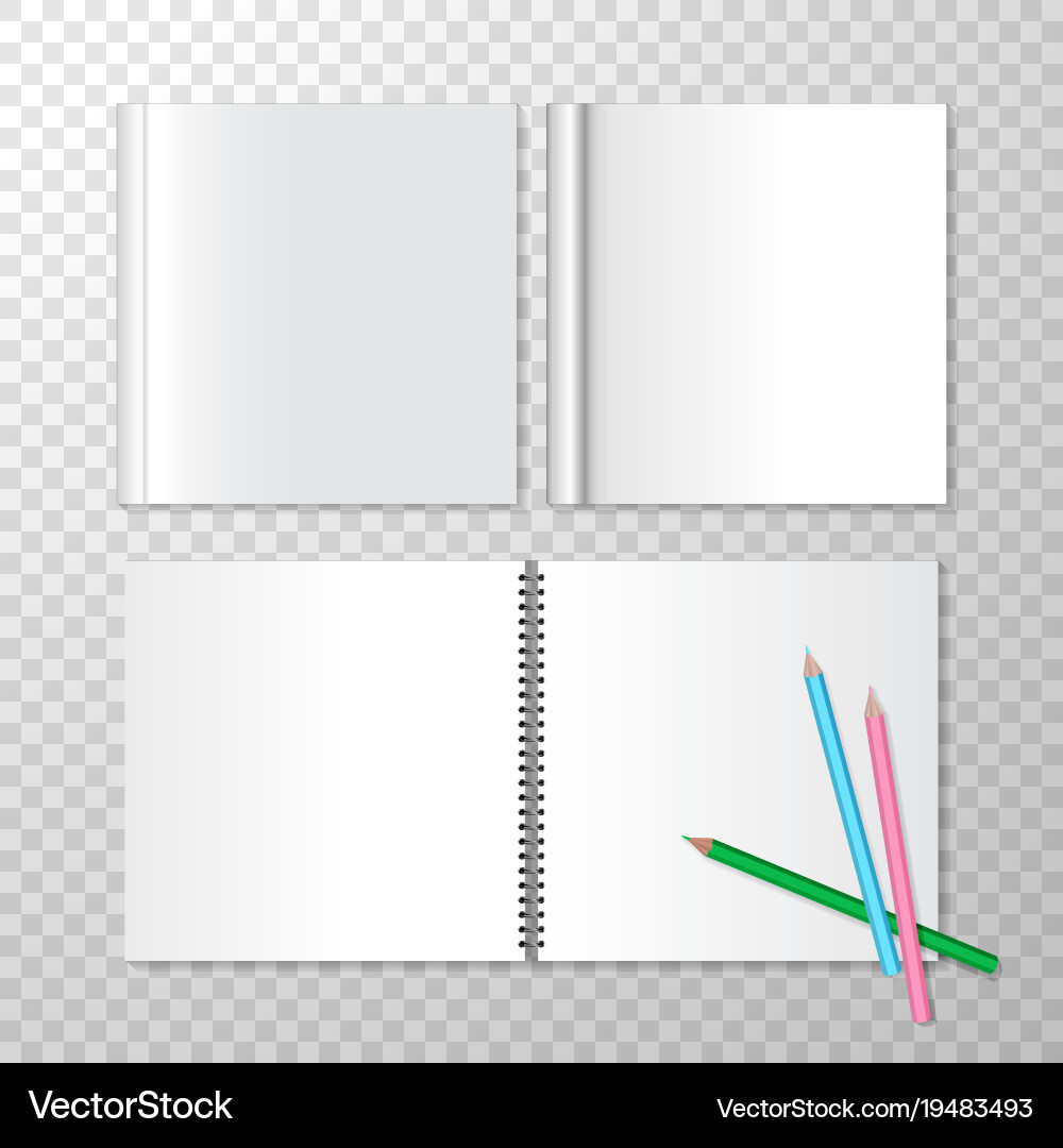 Top view opened notebooks on spiral bound vector image