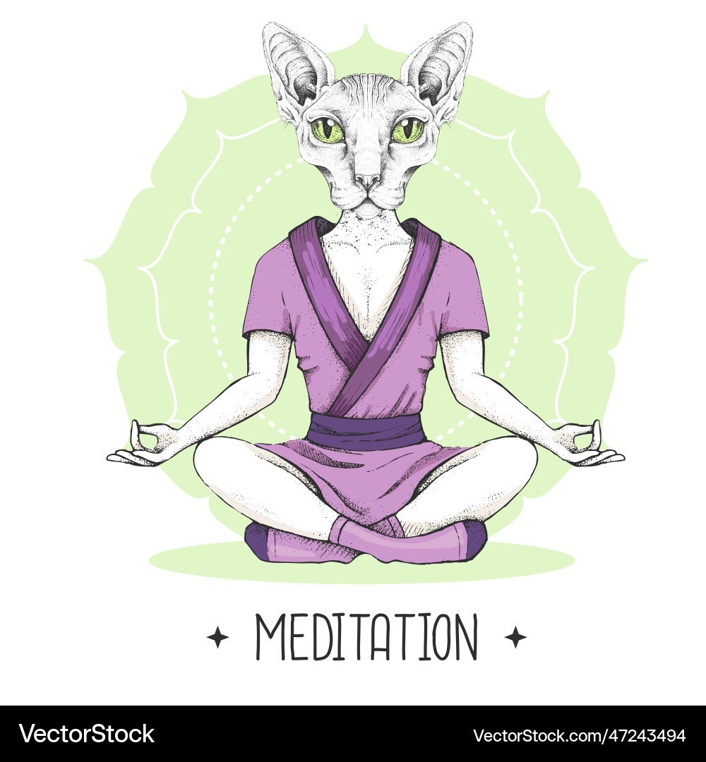 Tiersphynx Katze meditiert in Lotus Position Tiersphynx Katze meditiert in Lotus Position vektorbild