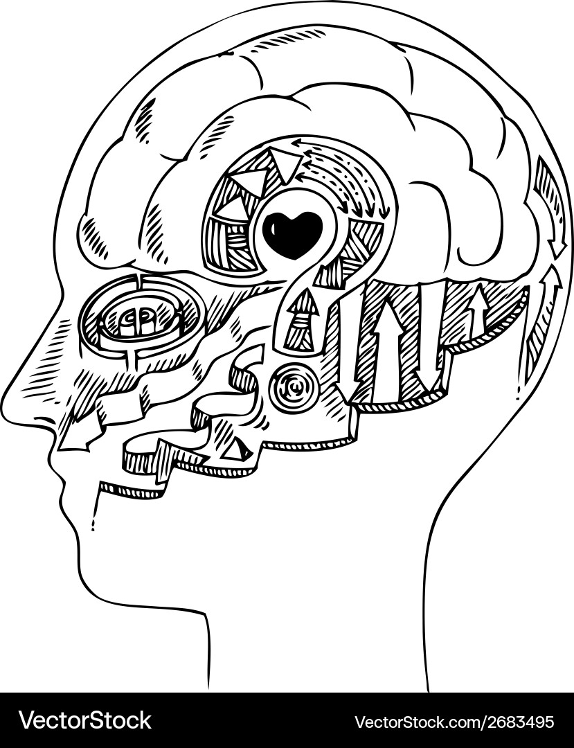 Man profile with brain and heart vector image
