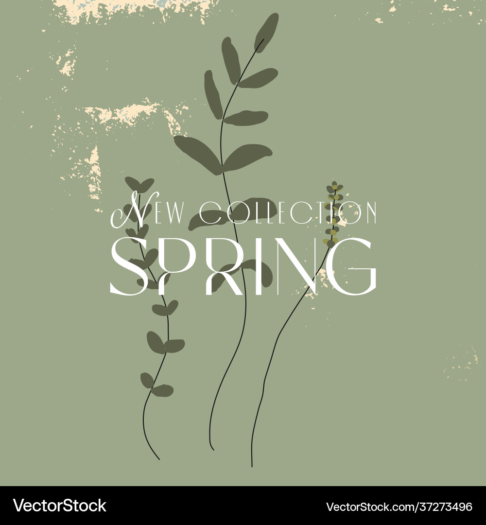 Chic botanical herbs leaves pattern on green Chic botanical herbs leaves pattern on green vector image