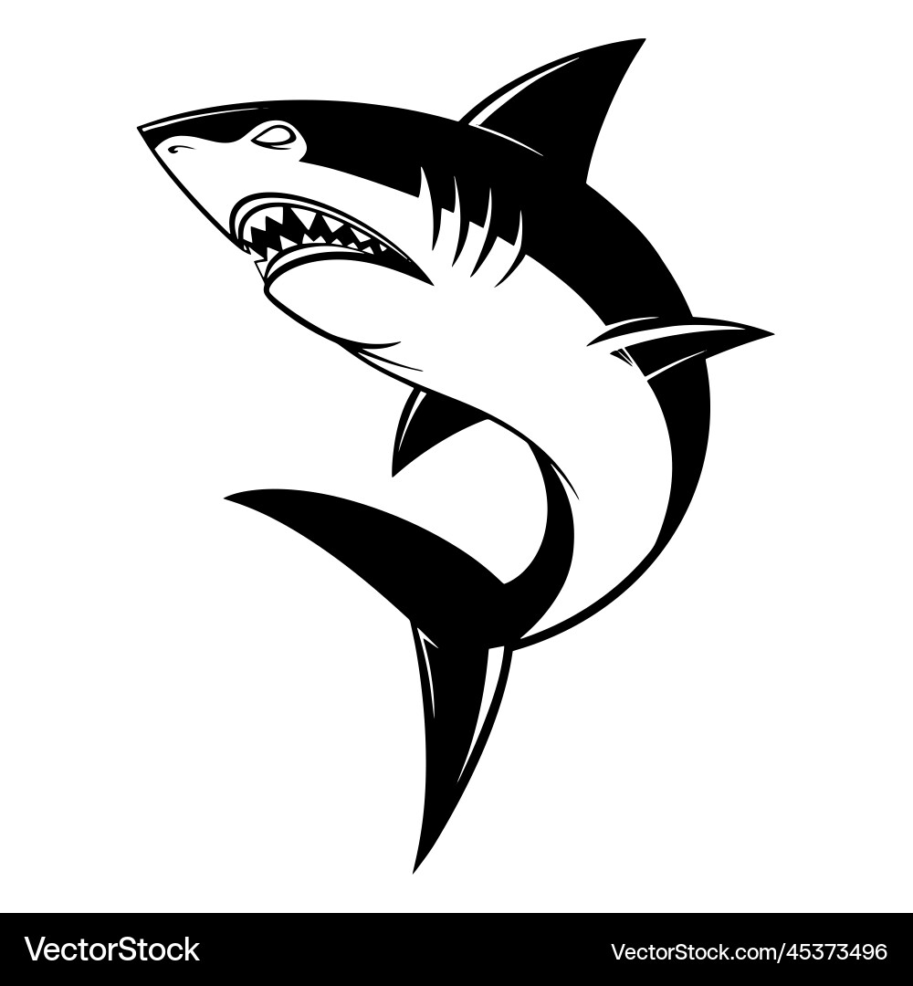 Shark logo icon on white background – Royalty-Free Vector | VectorStock, image size:1000x1080