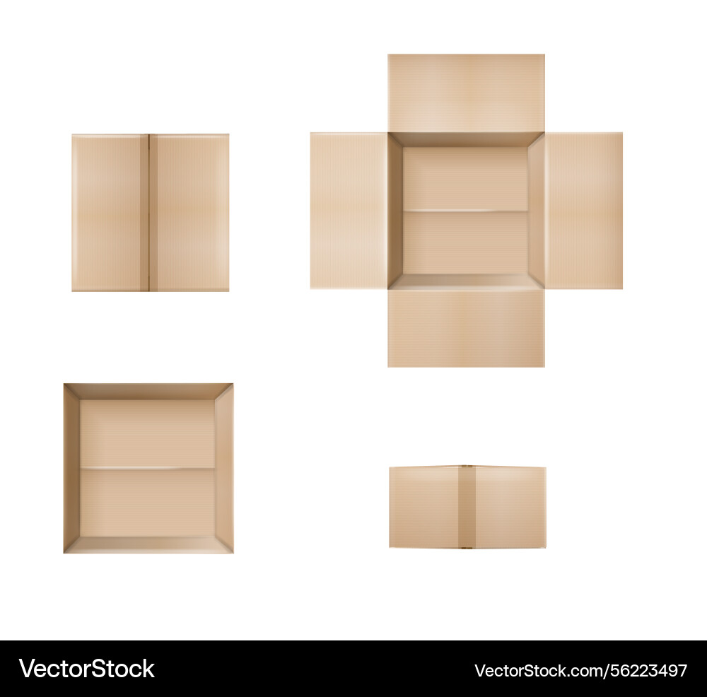 Box empty open and closed cardboard Vector Image