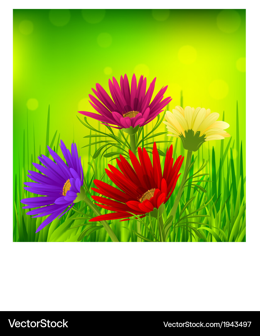 Spring background vector image
