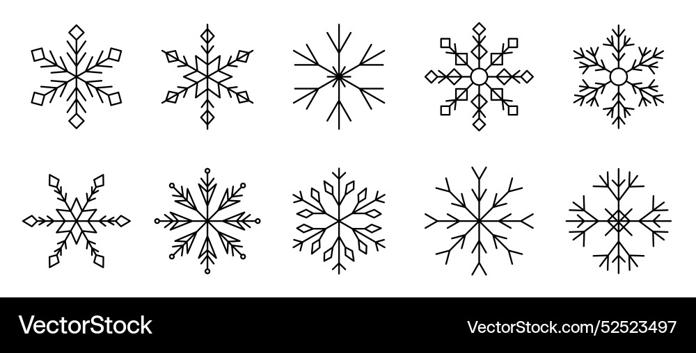 Ten Intricate Snowflake Patterns Vector Image