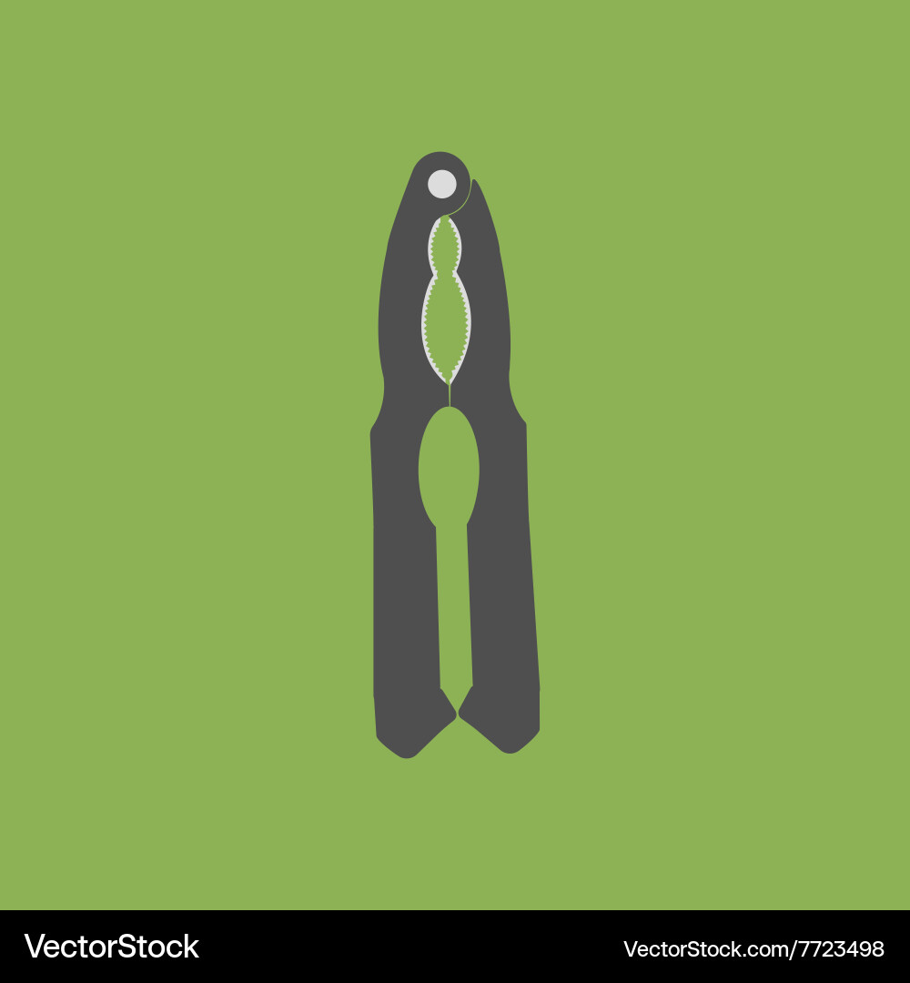 Quick walnut cracker nutcracker vector image