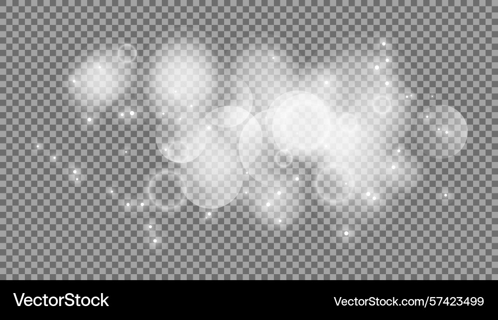 Bokeh circles on transparent background vector image