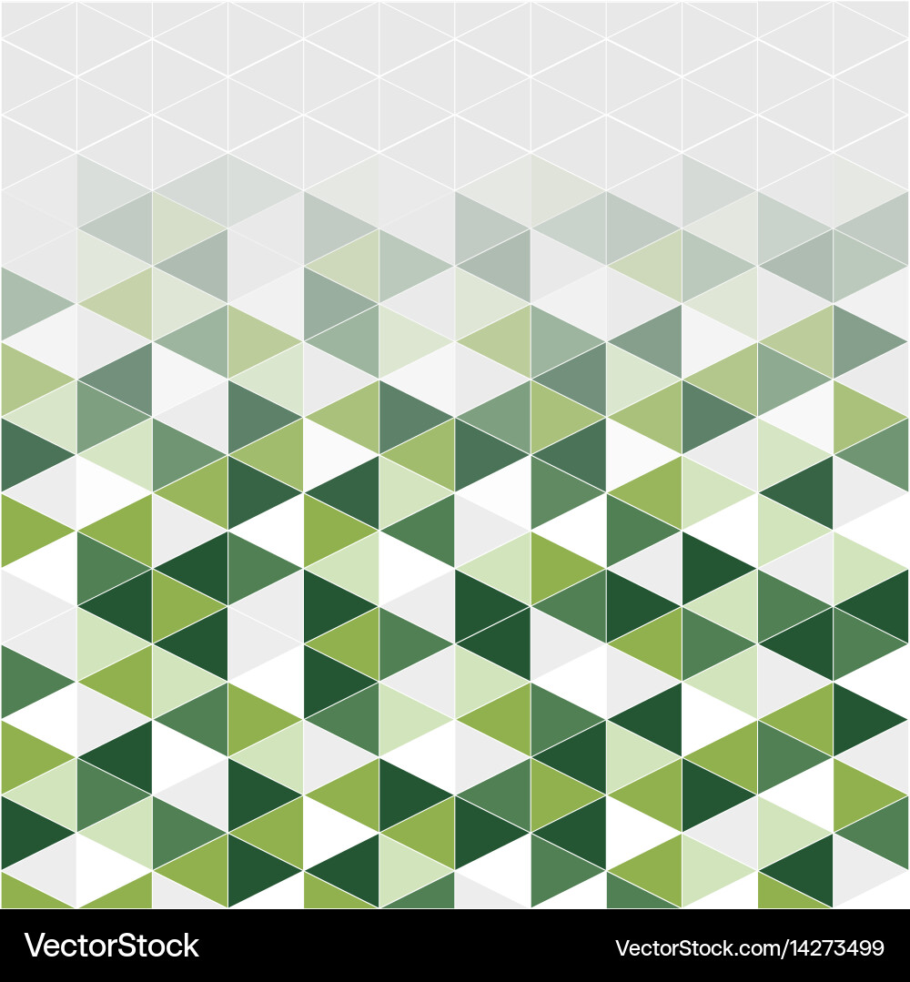 Geometric Triangular Pattern vector image