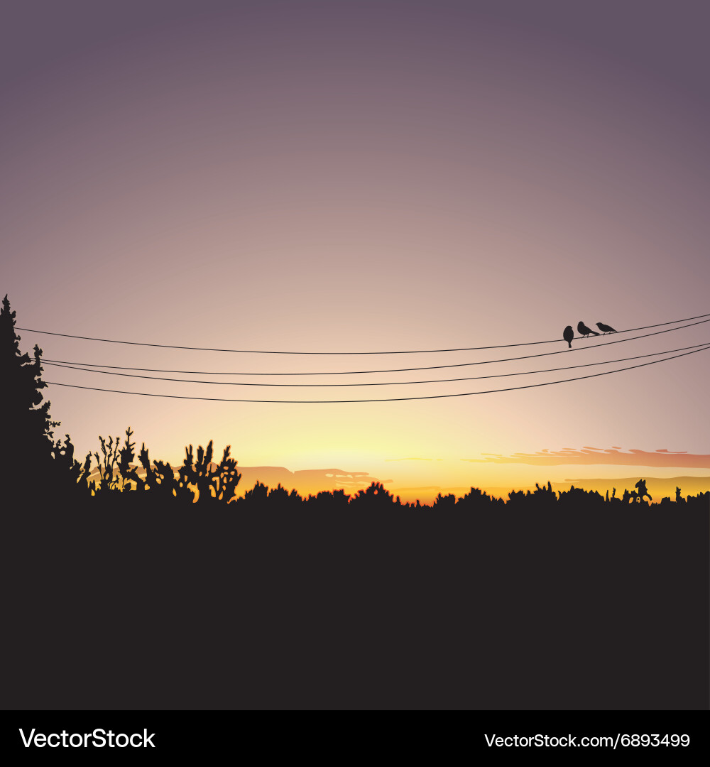 Nature sunset Royalty Free Vector Image - VectorStock