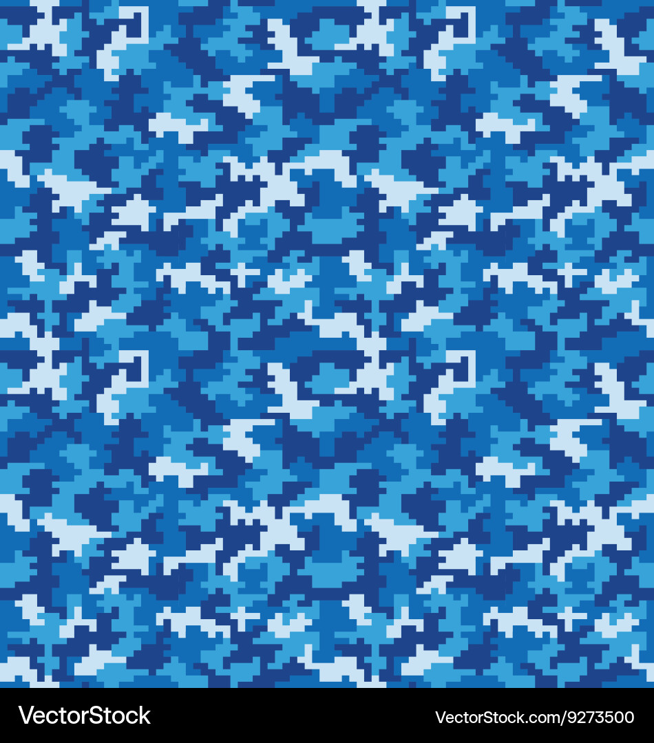 Digital Camouflage Pattern vector image