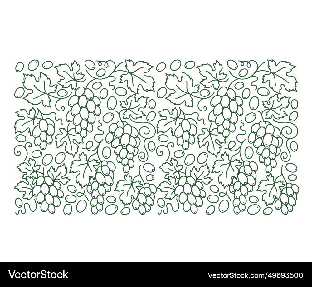 Grape vine pattern background branches vector image