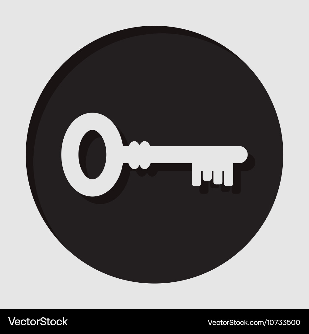 Information icon - key Royalty Free Vector Image