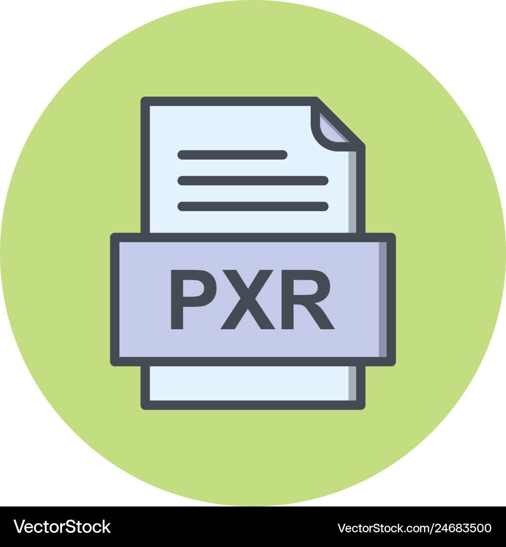 Pxr file document icon vector image