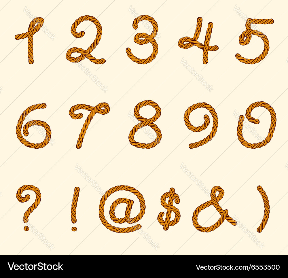 Set of rope font symbols and numbers vector image