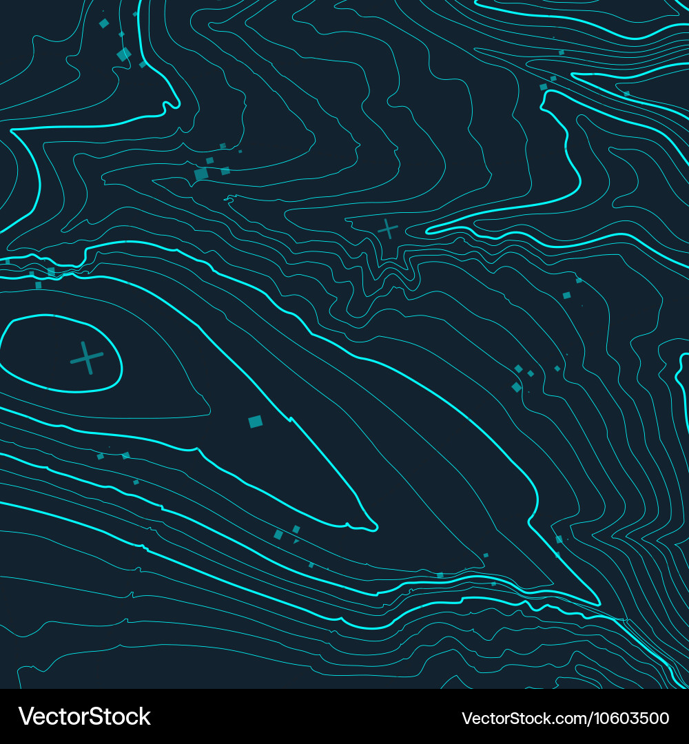 Topographic Map Background Vector Image