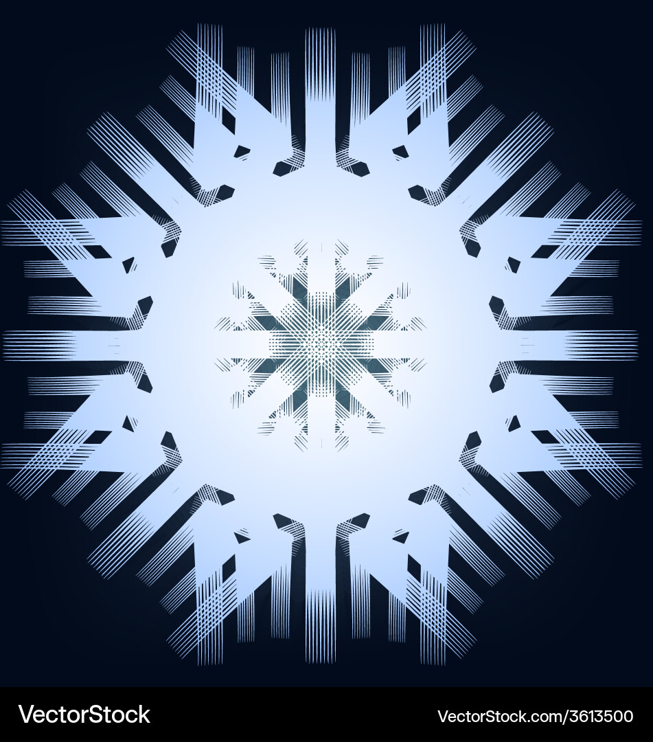 Winter Snowflake Pattern Vector Image