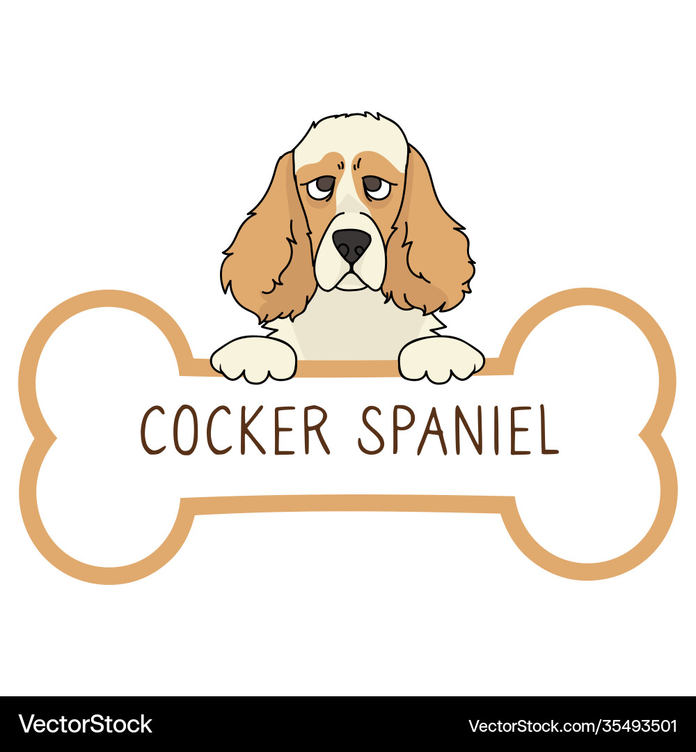 Niedlicher Cartoon Schwanzer Spaniel auf Kragen Hund Tag Niedlicher Cartoon Schwanzer Spaniel auf Kragen Hund Tag vektorbild