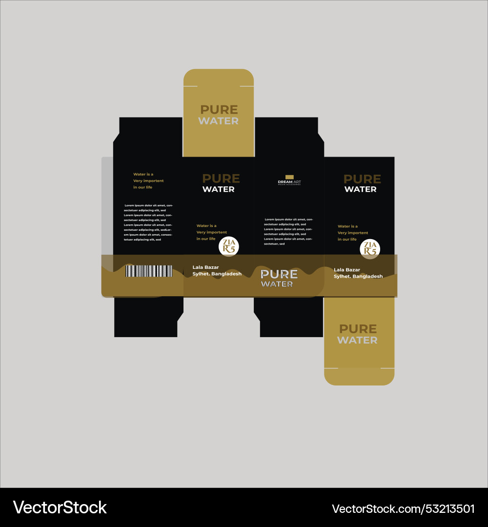 Web box design packaging template vector image