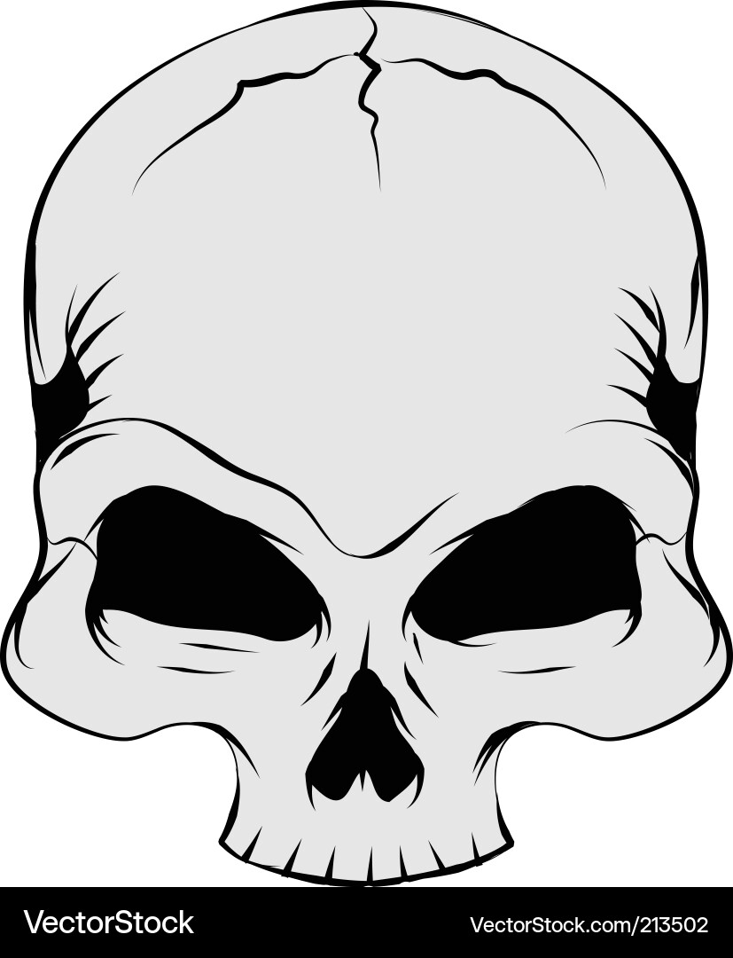 Detailed Skull Tattoo Vector Image