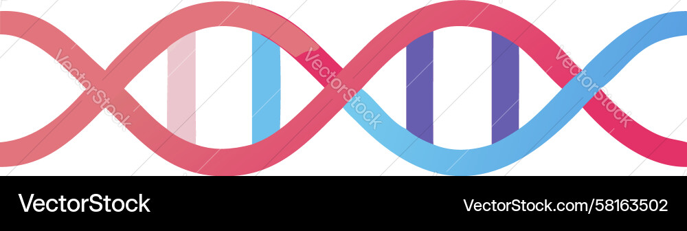 Dynamic DNA Helix Structure Vector Image