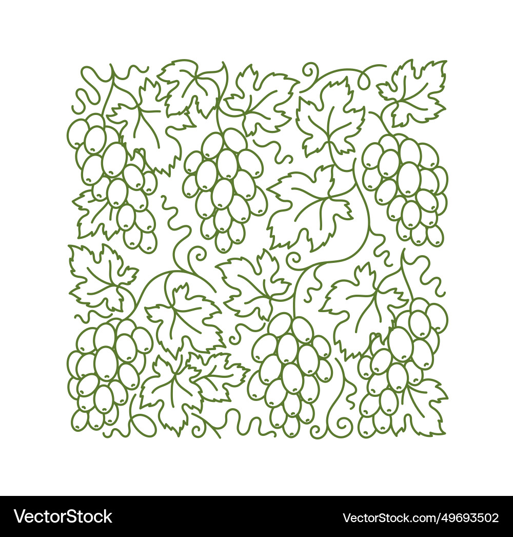 Grape vine pattern branches and leaves vector image