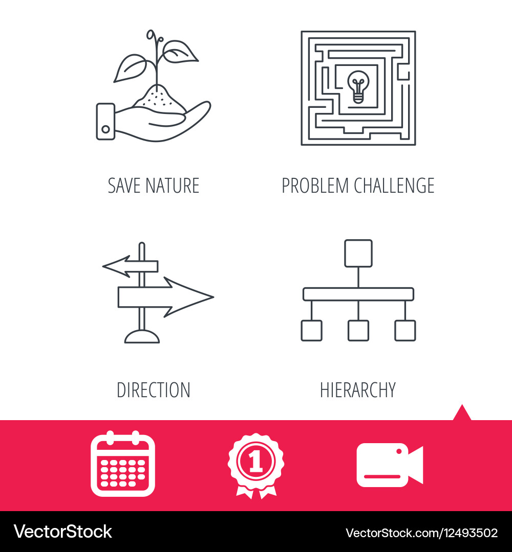 Hierarchy save nature and direction arrow icon vector image