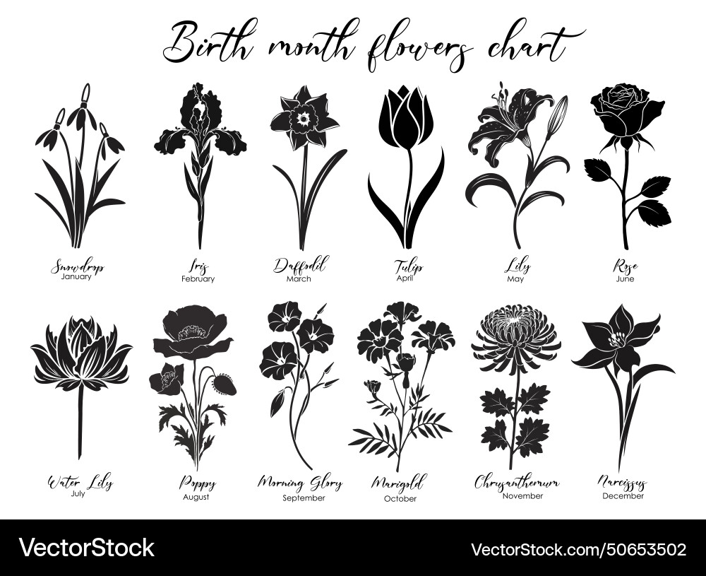 Set of birth month flower silhouettes isolated Set of birth month flower silhouettes isolated vector image