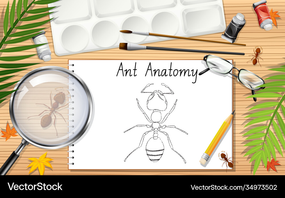 Top view office work table with elements Top view office work table with elements vector image