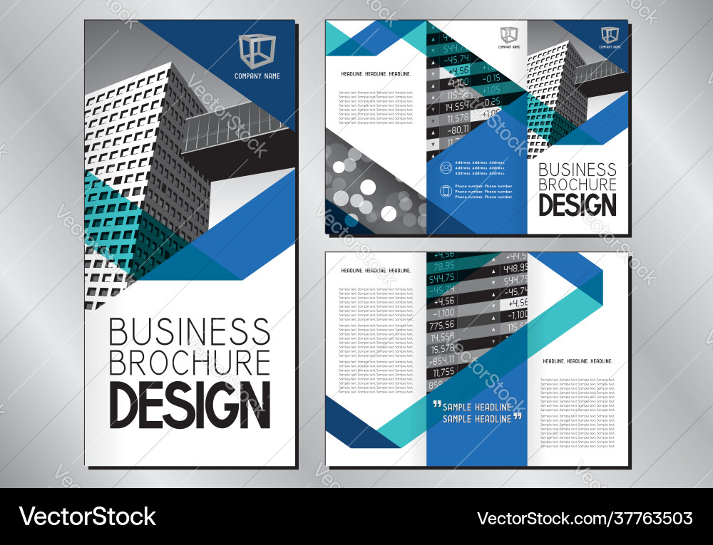 Business trifold brochure flyer template a4 to dl Vector Image