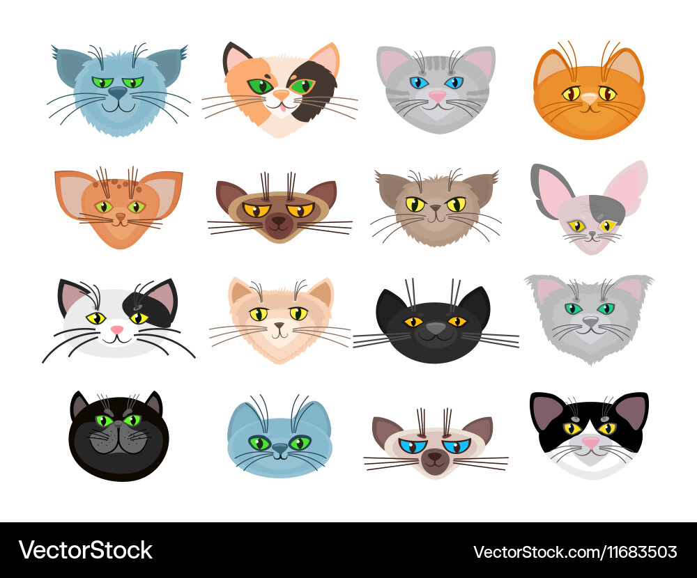 Cute cat faces Royalty Free Vector Image - VectorStock